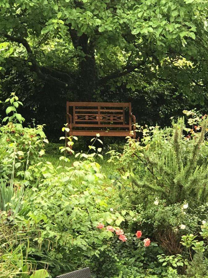 Gartenwohnung Gundelfingen  Bagian luar foto