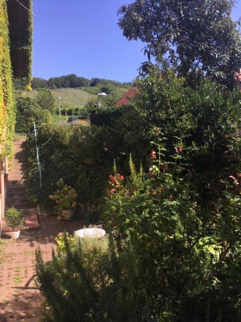 Gartenwohnung Gundelfingen  Bagian luar foto